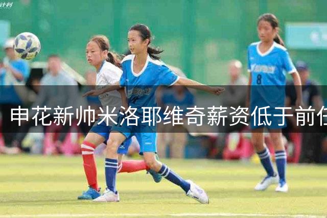 申花新帅米洛耶维奇薪资低于前任 合同期限初定两年